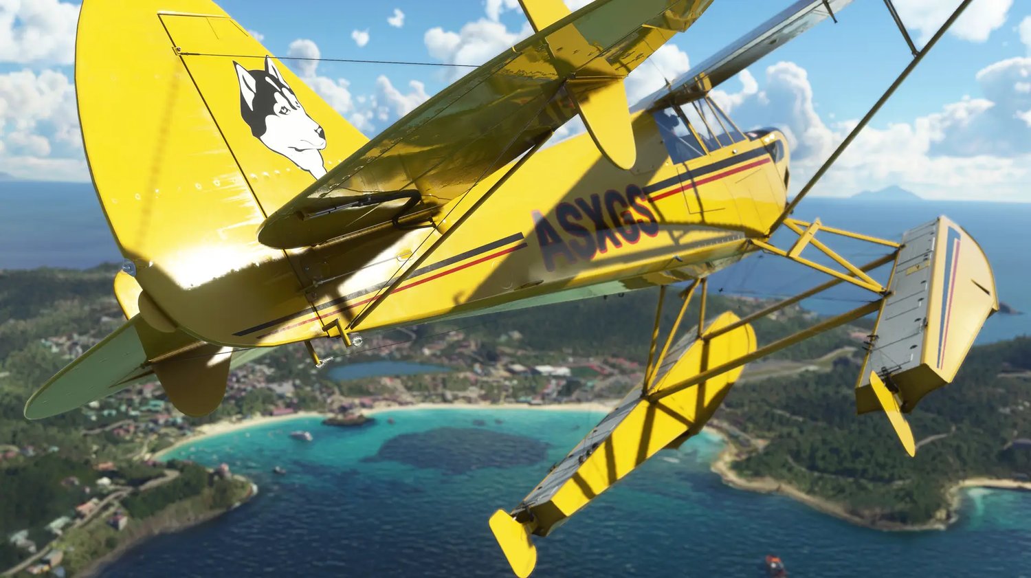 Aviat Husky A-1C