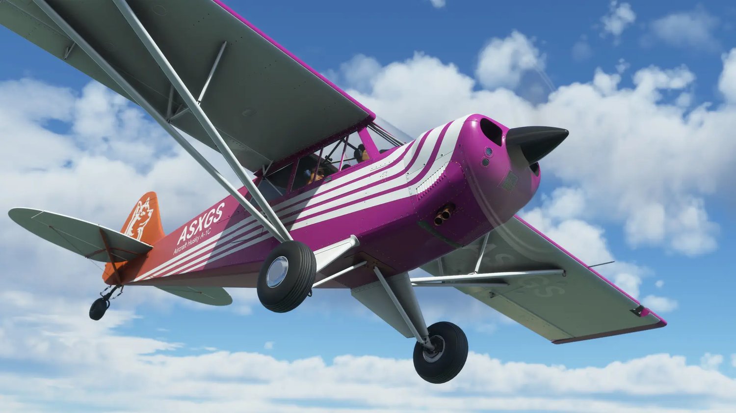 Aviat Husky A-1C