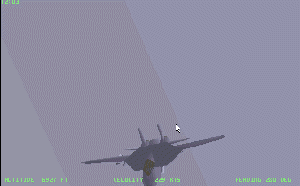 Combat Air Patrol