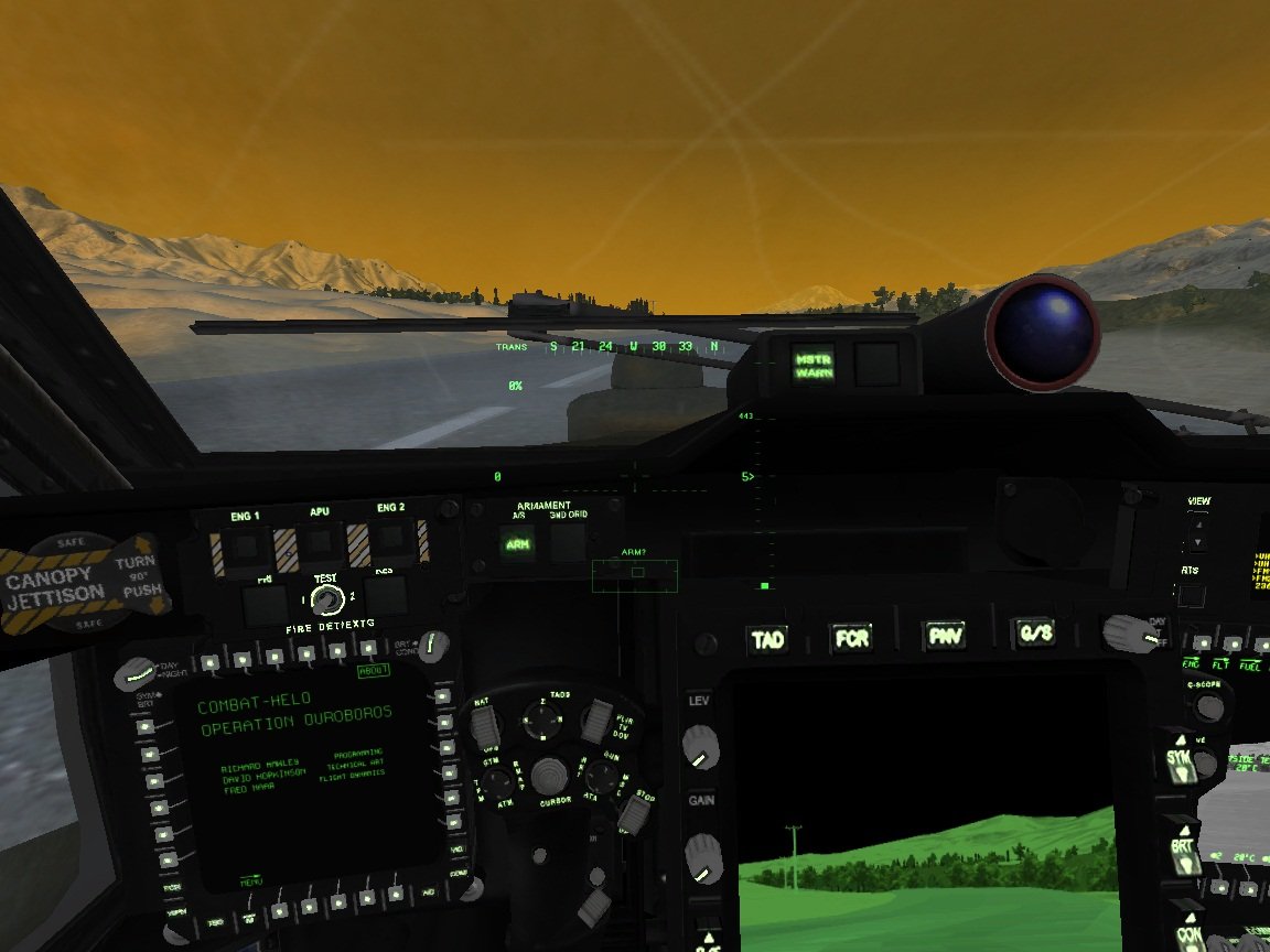Combat Helo