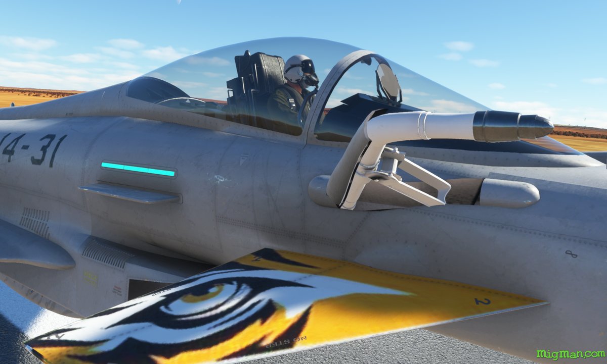 Eurofighter Typhoon (CJ Simulations)