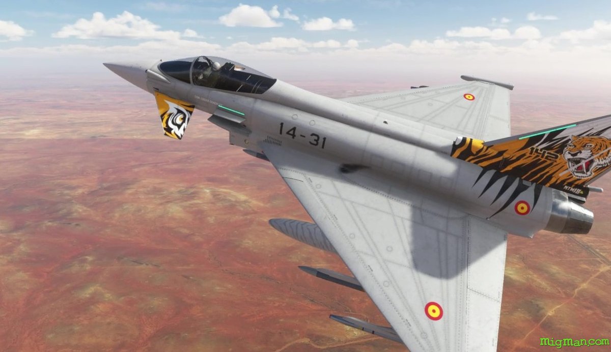 Eurofighter Typhoon (CJ Simulations)