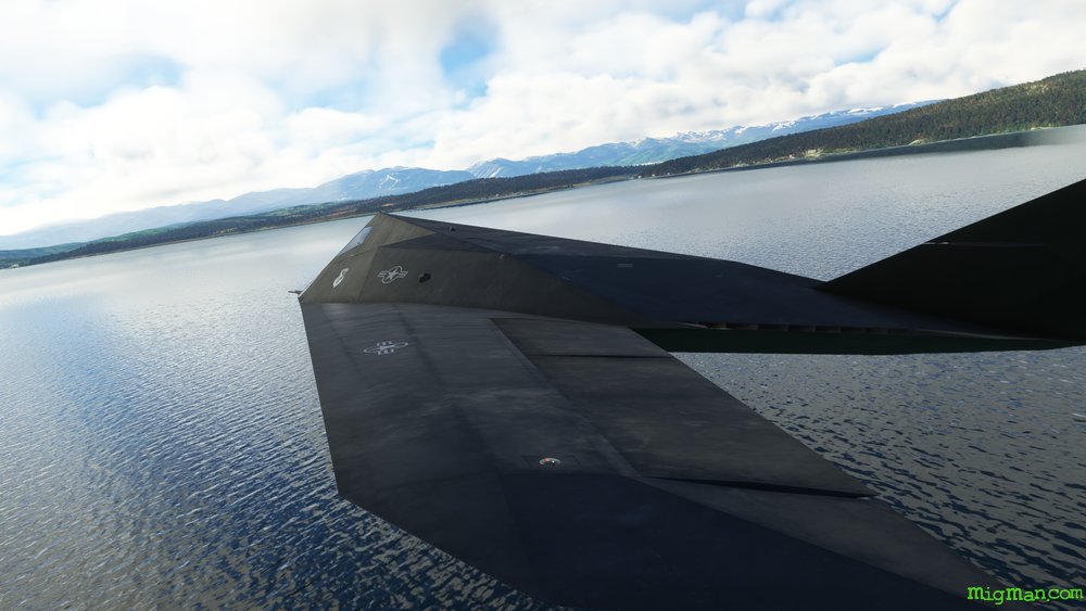 F-117 Nighthawk (Aerial Simulations)