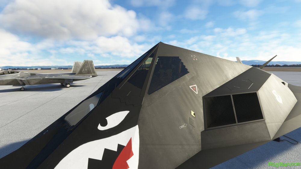 F-117 Nighthawk (Aerial Simulations)