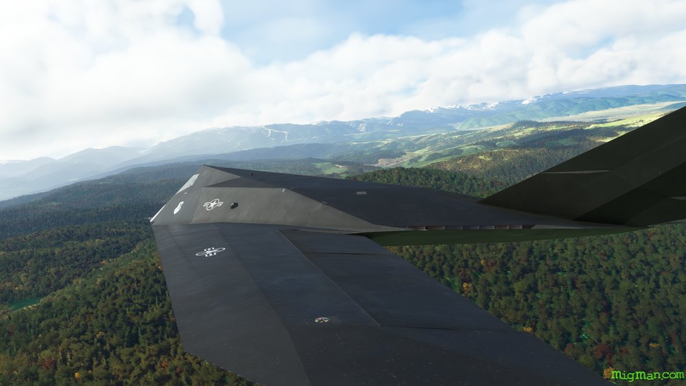 F-117 Nighthawk (Aerial Simulations)