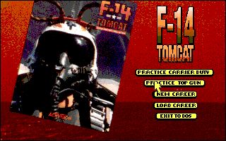 F-14 Tomcat