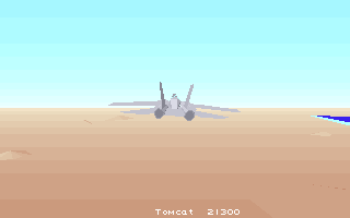F-14 Tomcat