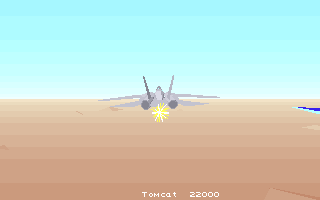 F-14 Tomcat