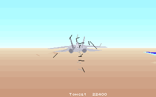 F-14 Tomcat