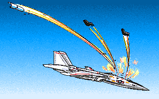 F-14 Tomcat