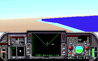 F-14 Tomcat