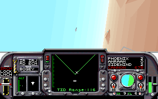 F-14 Tomcat