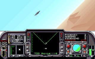 F-14 Tomcat