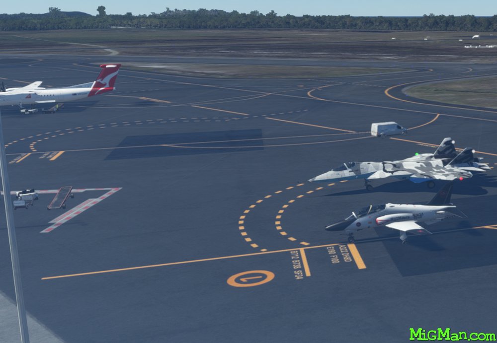 F-22A (Top Mach Studios)