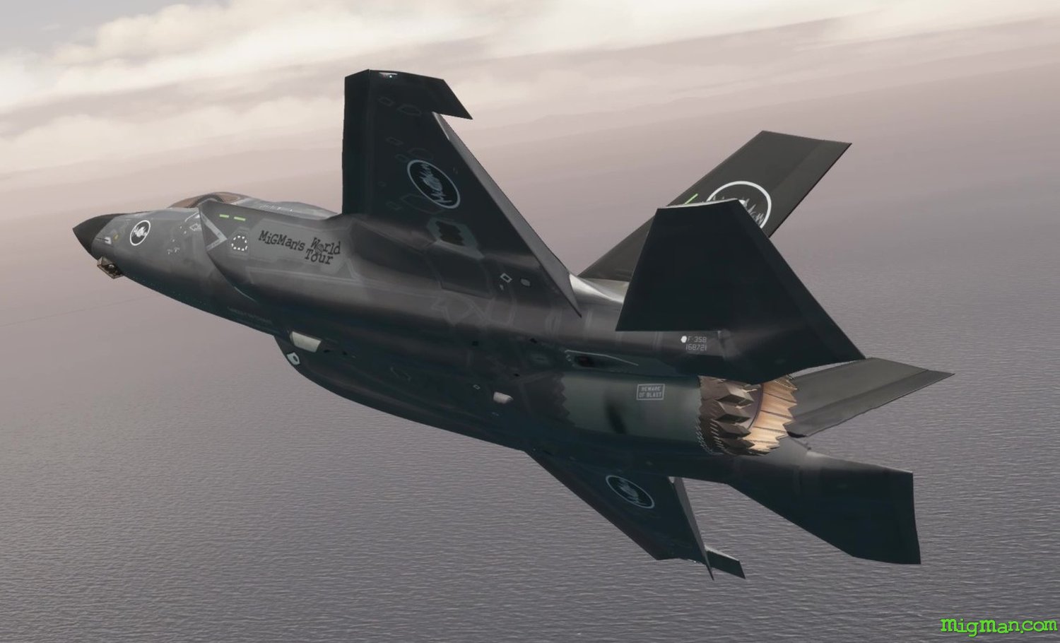 F-35 Lightning II (IndiaFoxtEcho)