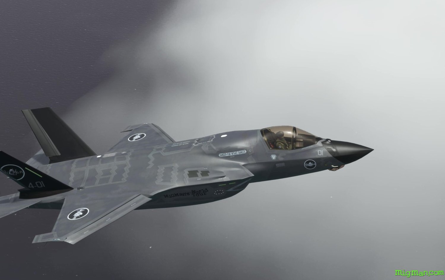 F-35 Lightning II (IndiaFoxtEcho)