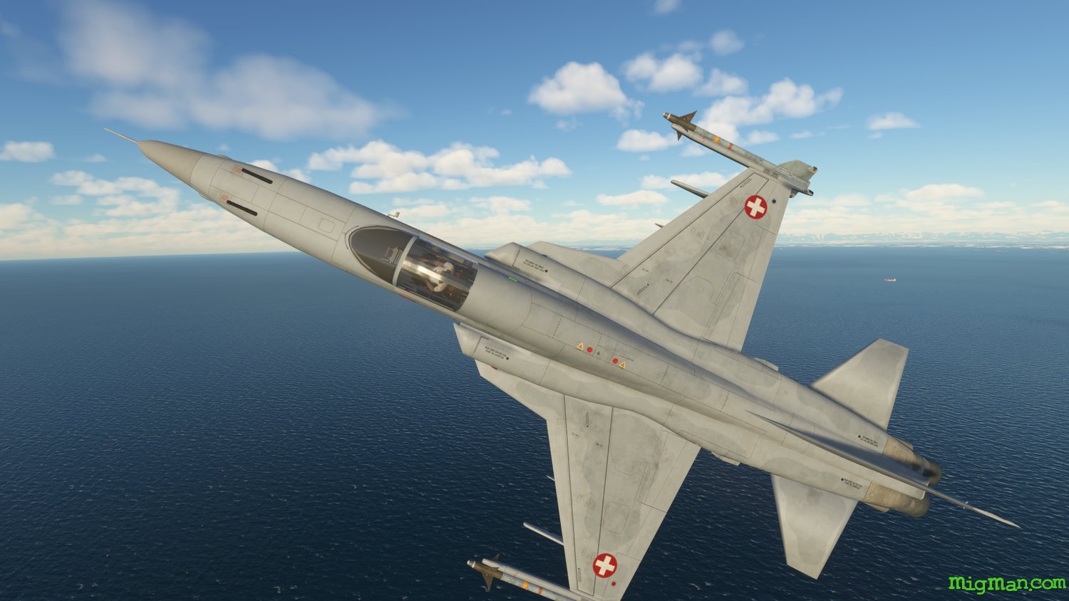 F-5 Tiger II (Venom Zero)