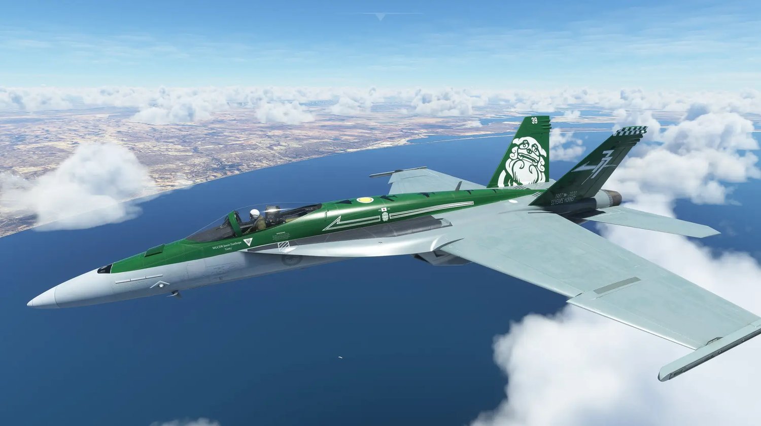 F18 Ultimate Worldwide Liveries
