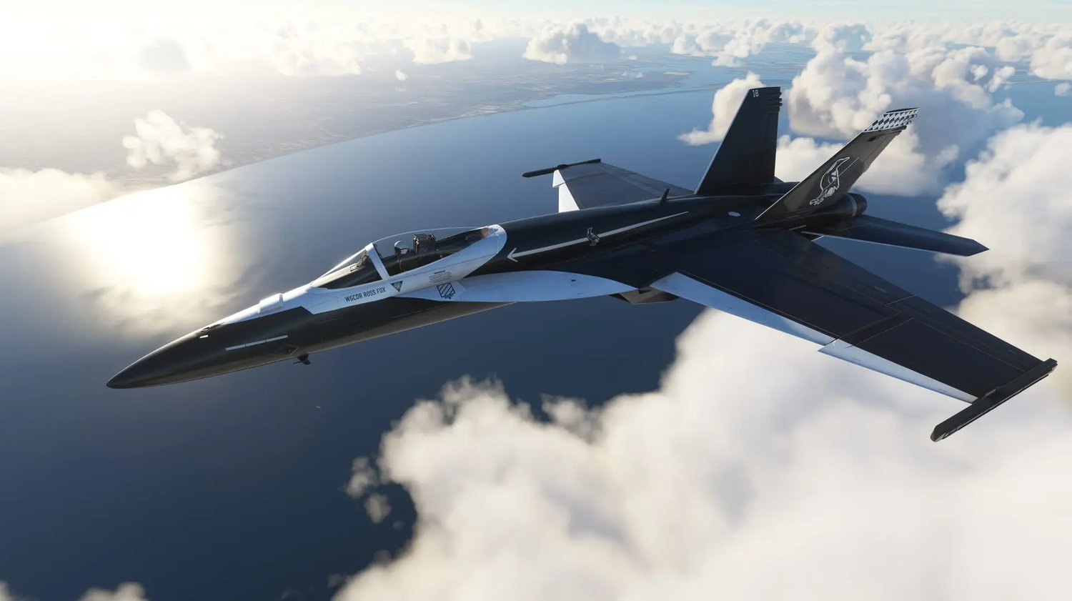 F18 Ultimate Worldwide Liveries
