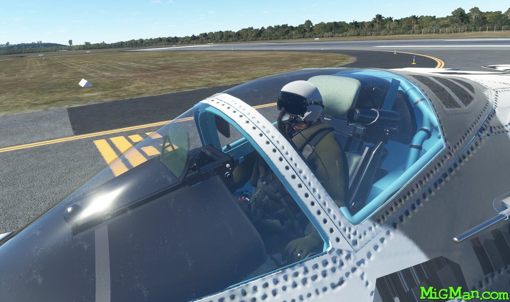 Felon  (Deimos Inc.)