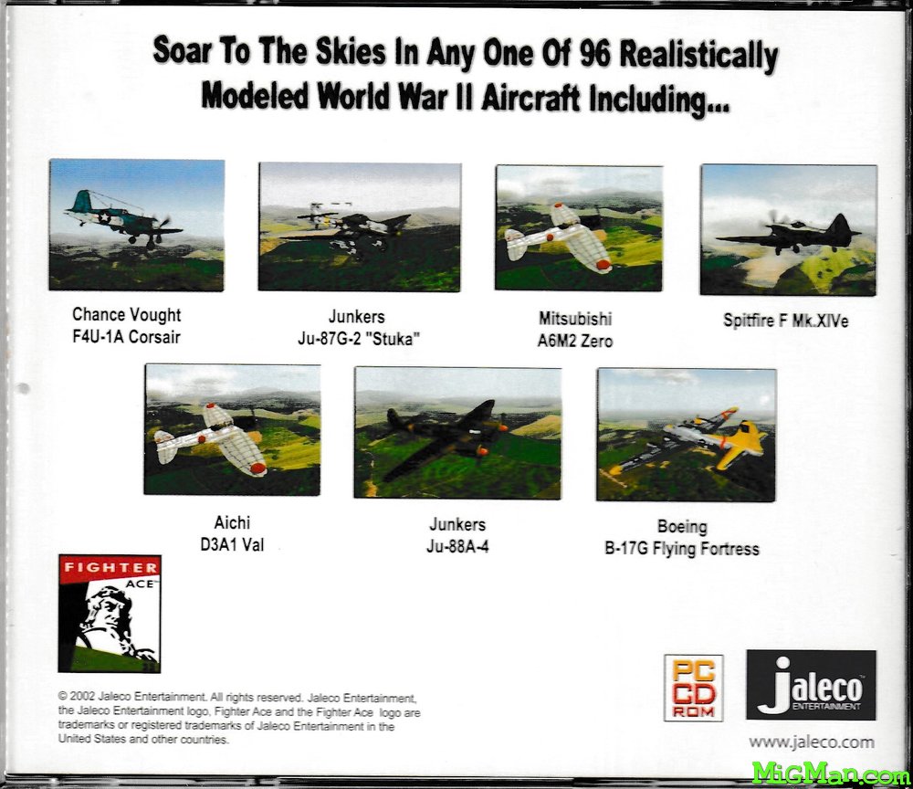 Fighter Ace 3.5