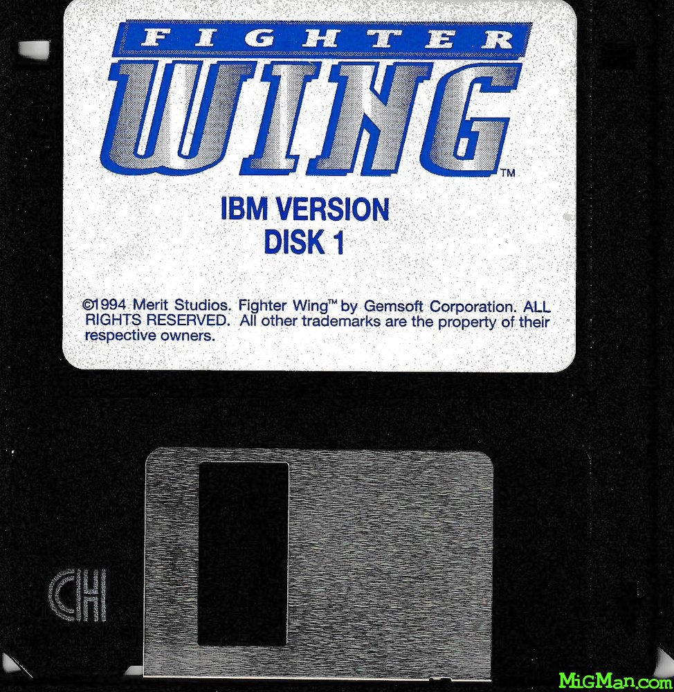 Fighter Wing