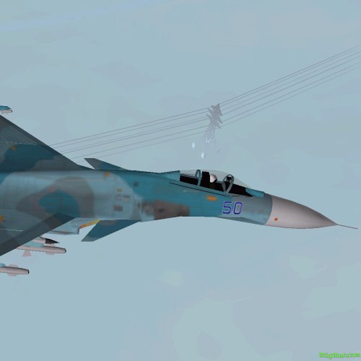 Flanker 2.0