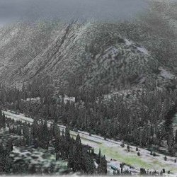 Georender 1