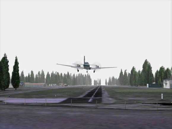 Georender 3