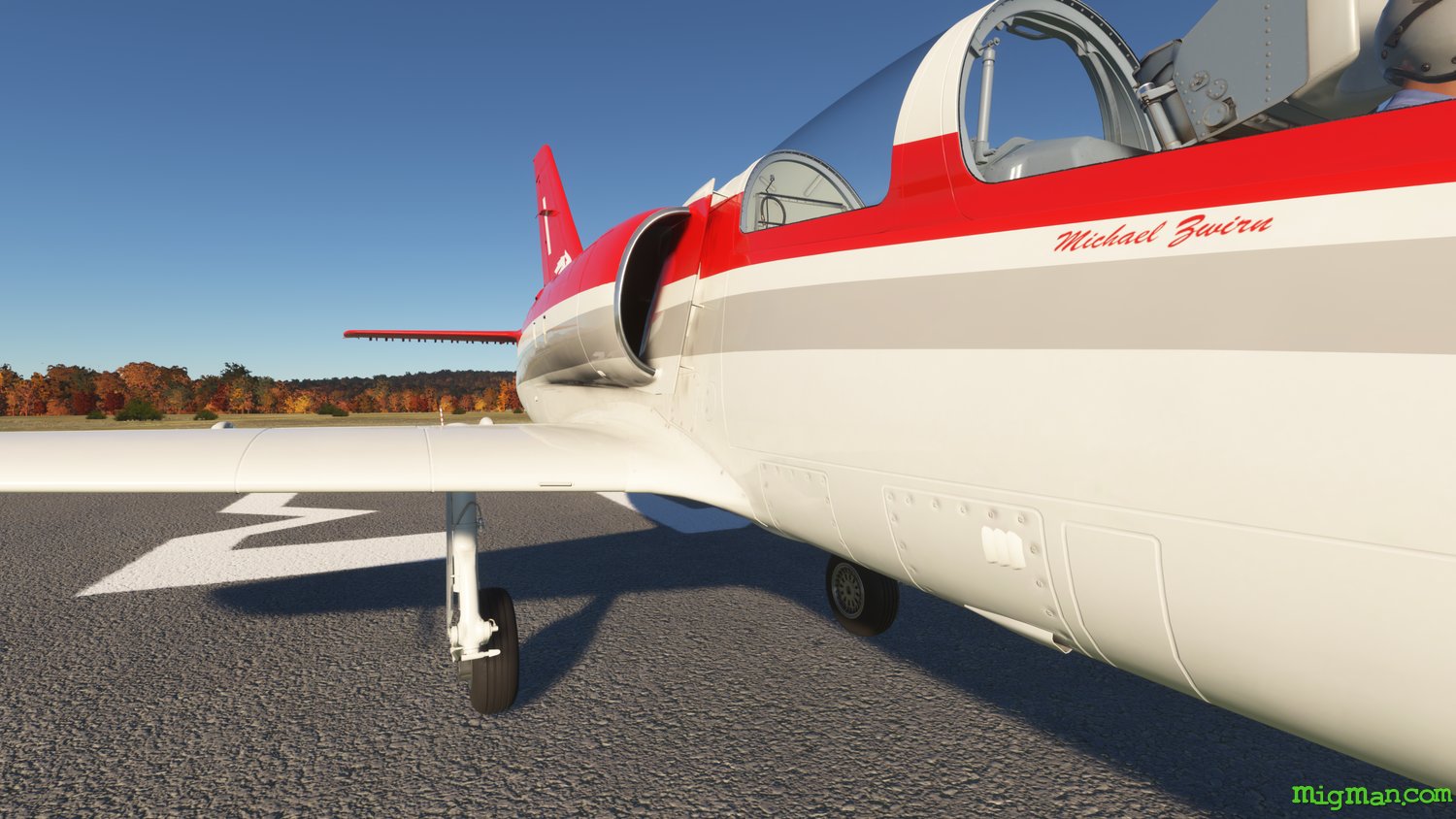 L-39 "Athena"