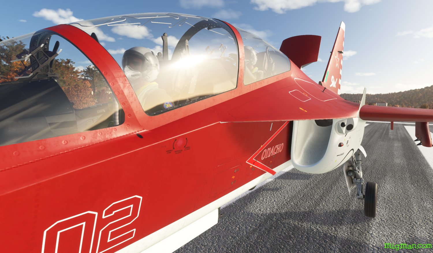 M-346 Master (IndiaFoxtEcho)