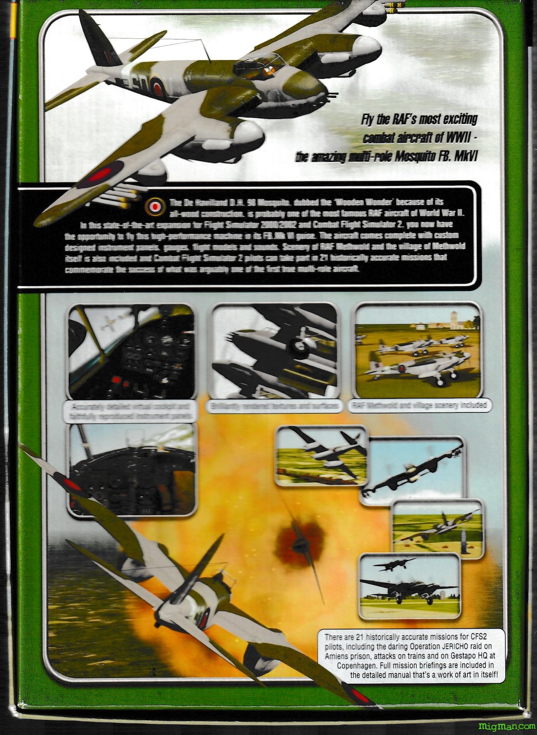 Mosquito Squadron