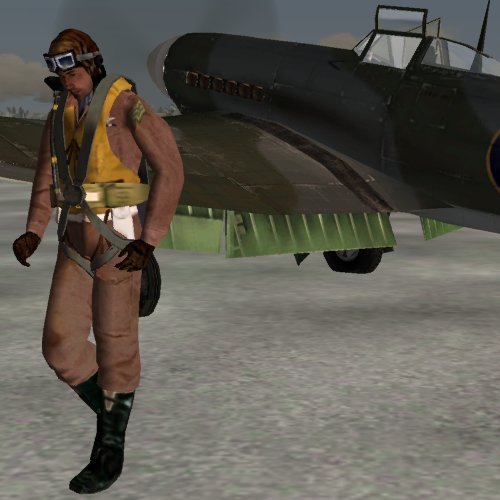 Microsoft Combat Flight Sim 3: Battle for Europe