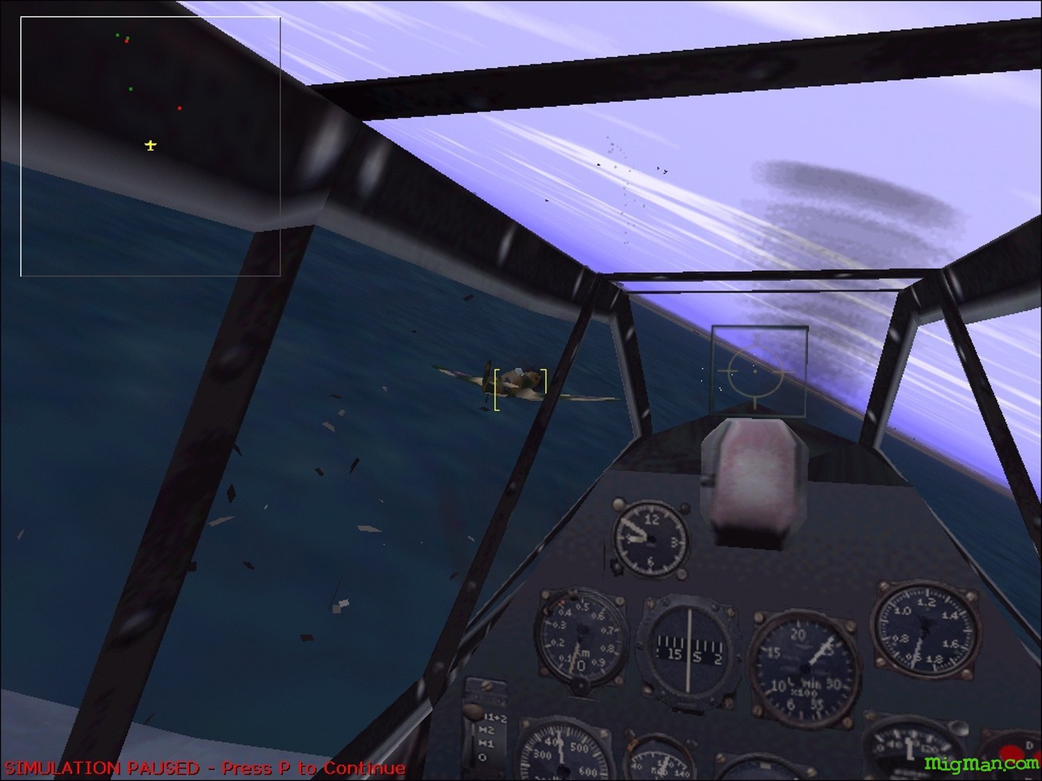 Microsoft Combat Flight Simulator
