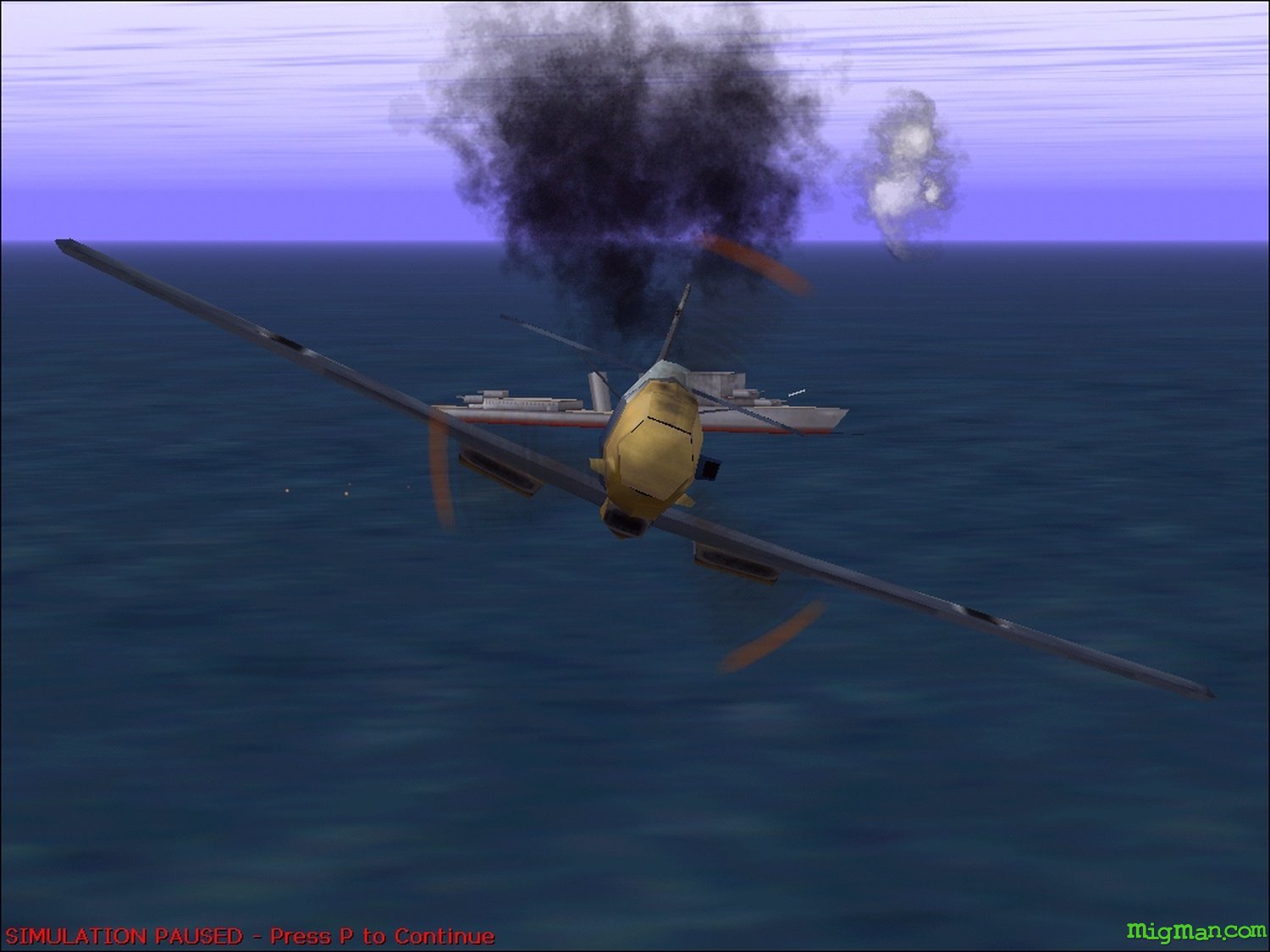 Microsoft Combat Flight Simulator