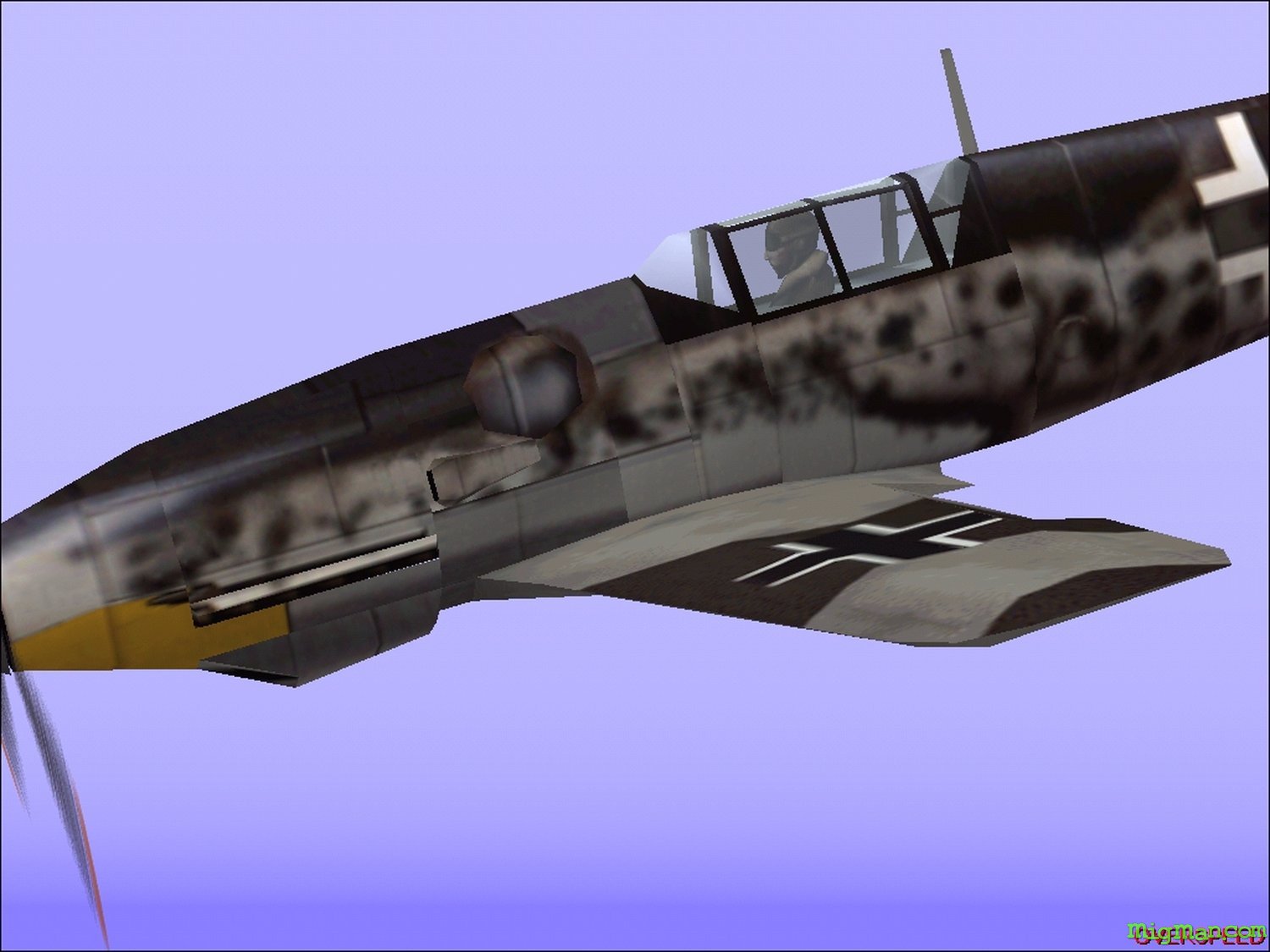 Microsoft Combat Flight Simulator