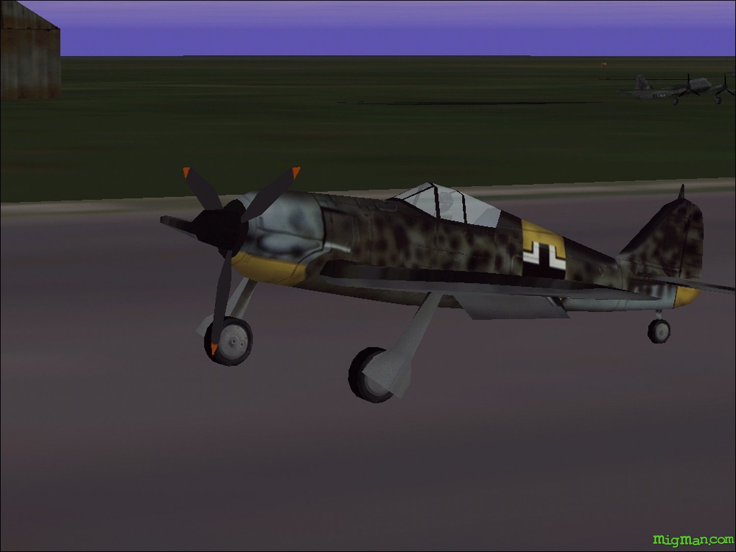 Microsoft Combat Flight Simulator