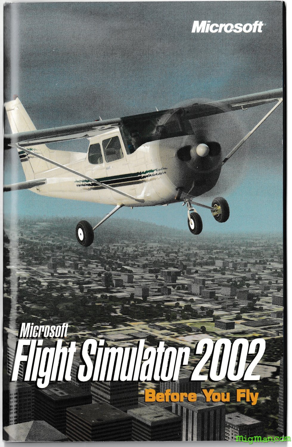 Microsoft Flight Simulator 2002