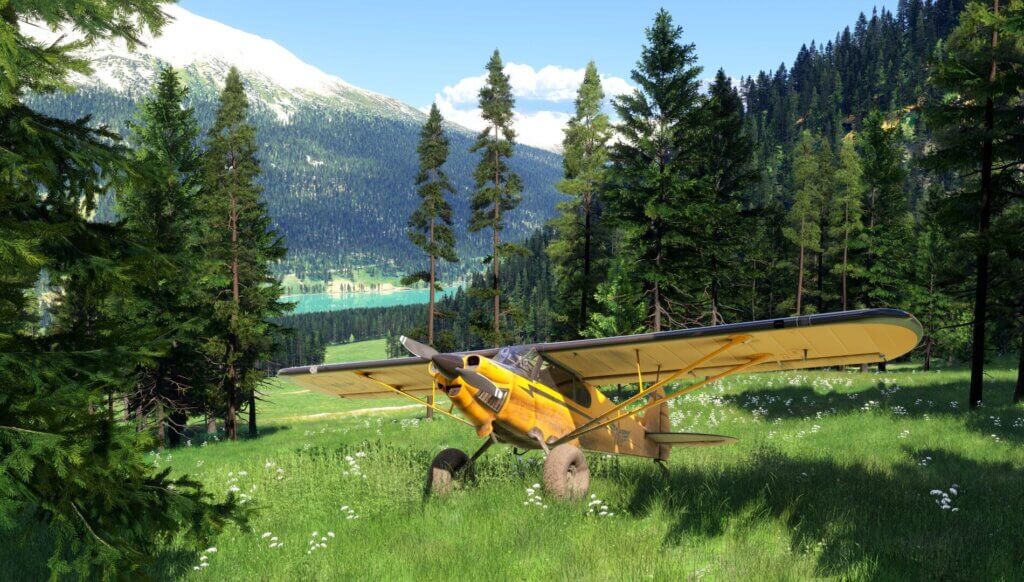 MSFS 2024