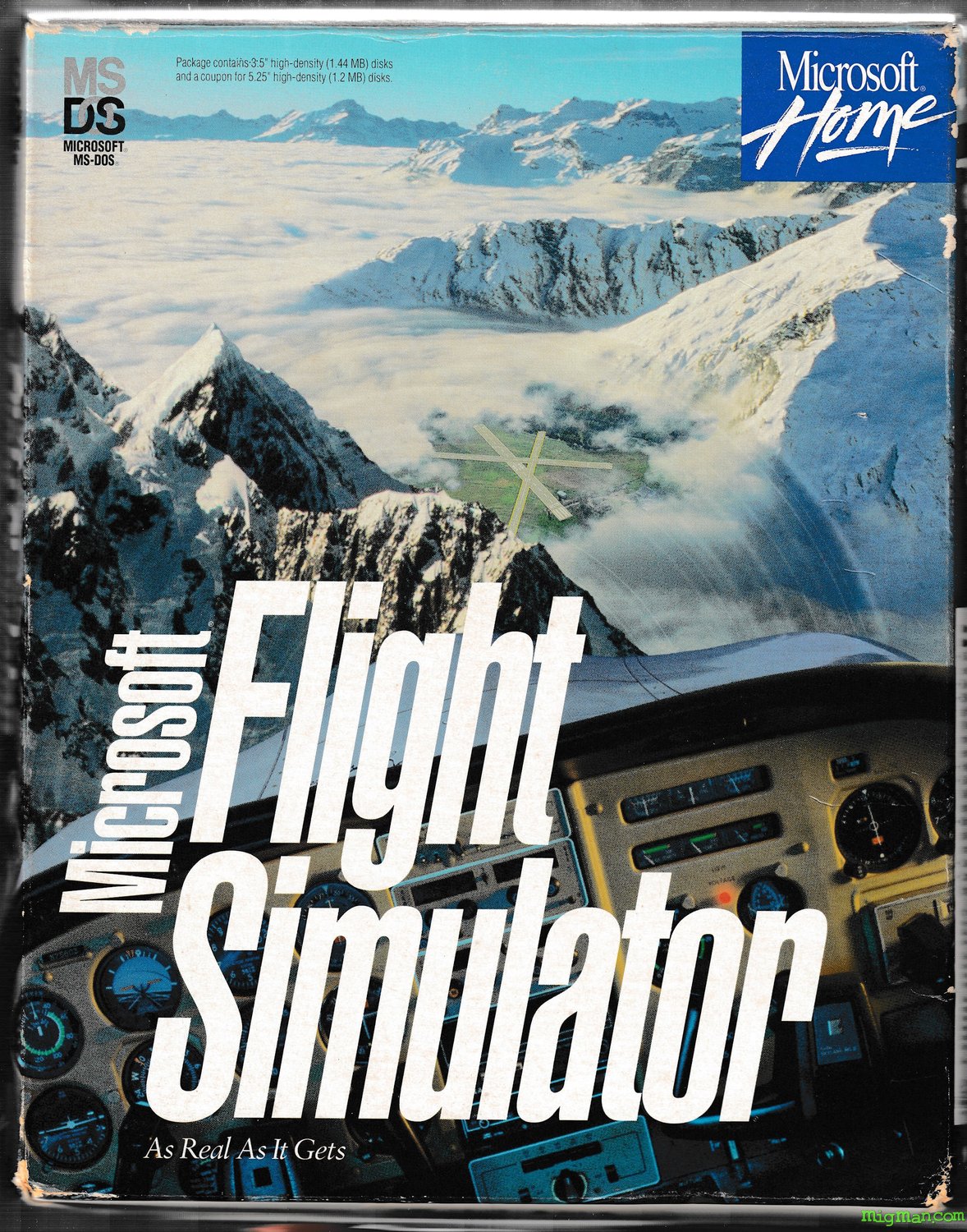 Microsoft Flight Simulator 5