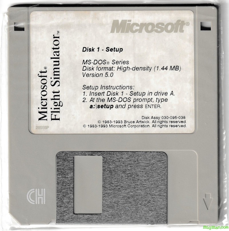 Microsoft Flight Simulator 5