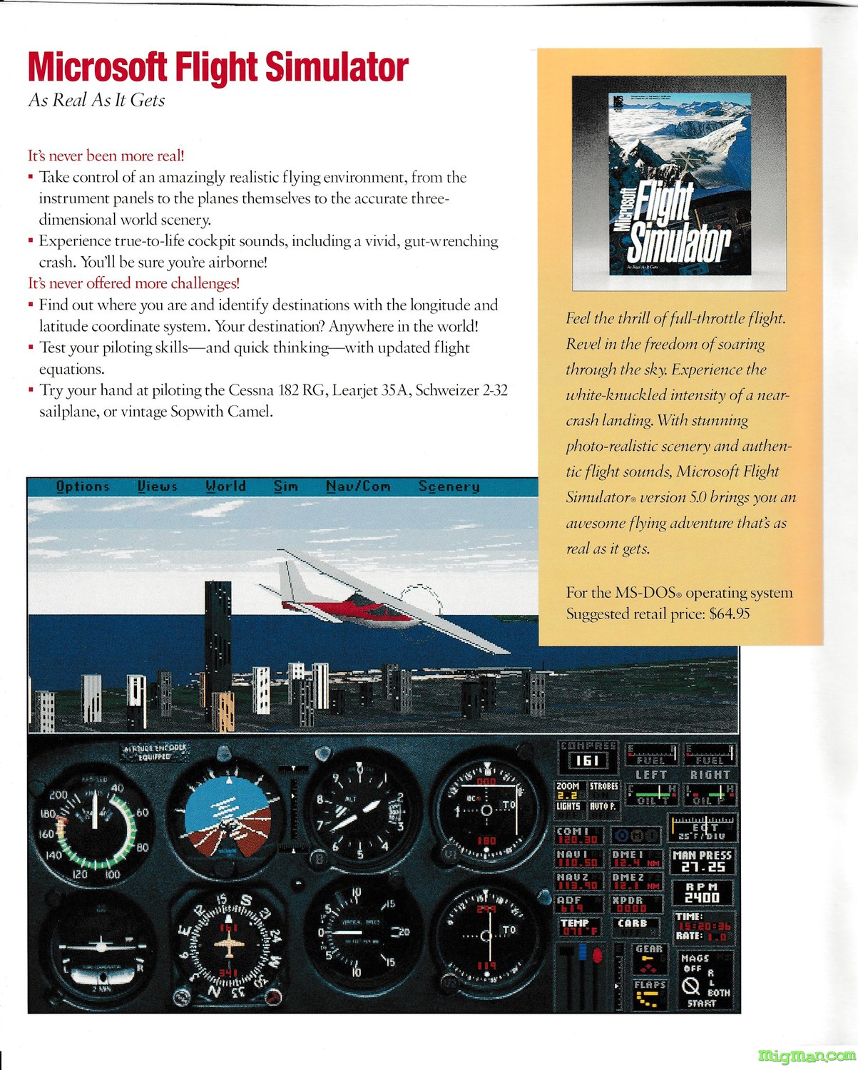 Microsoft Flight Simulator 5