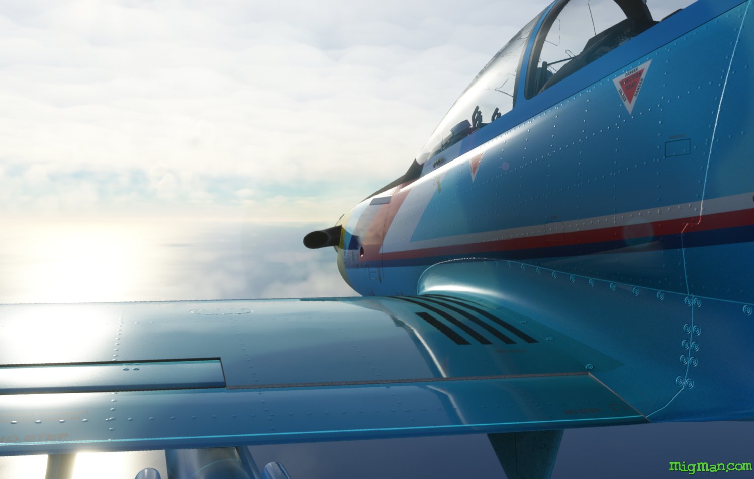 Pilatus PC-21  (Iris Simulations)