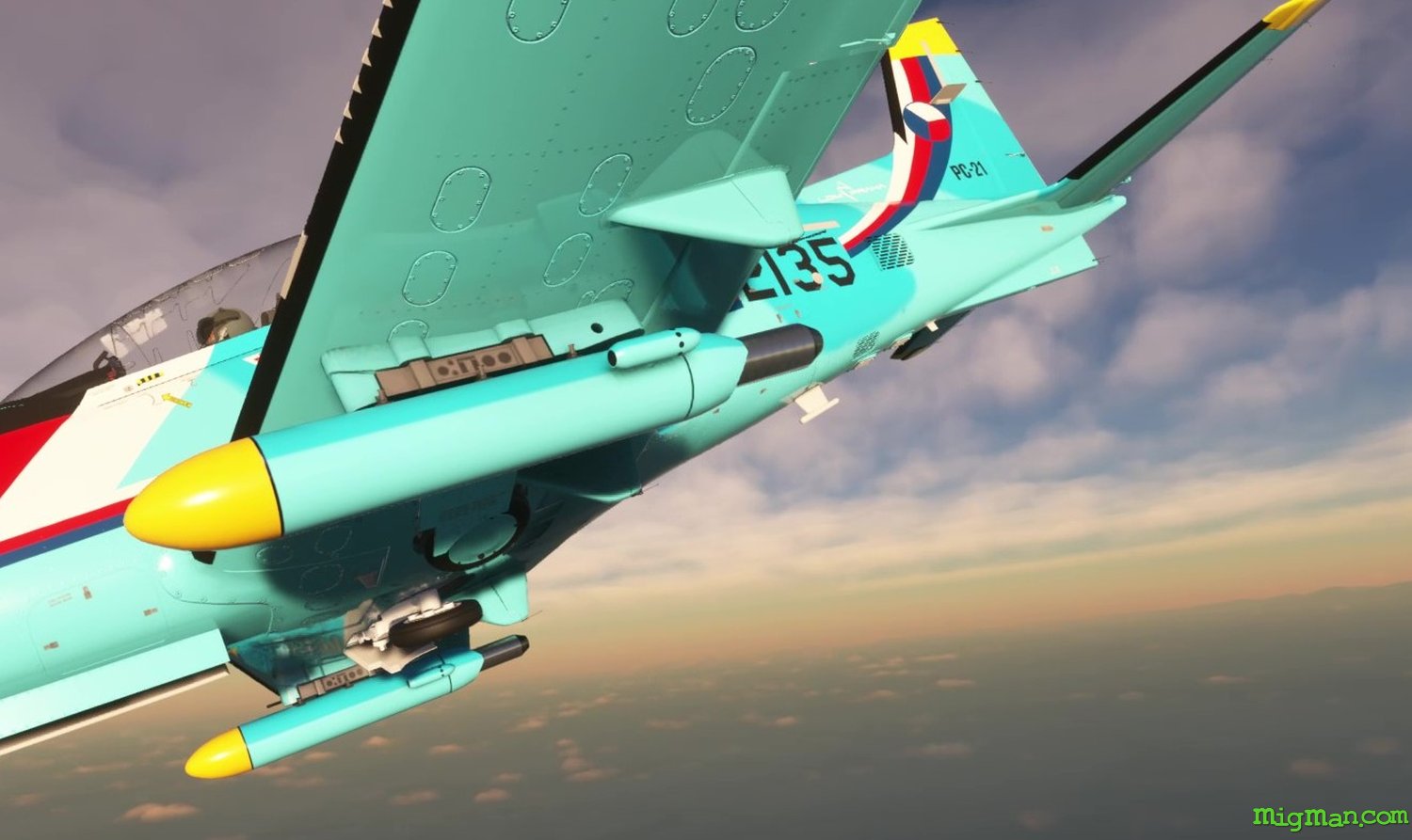 Pilatus PC-21  (Iris Simulations)