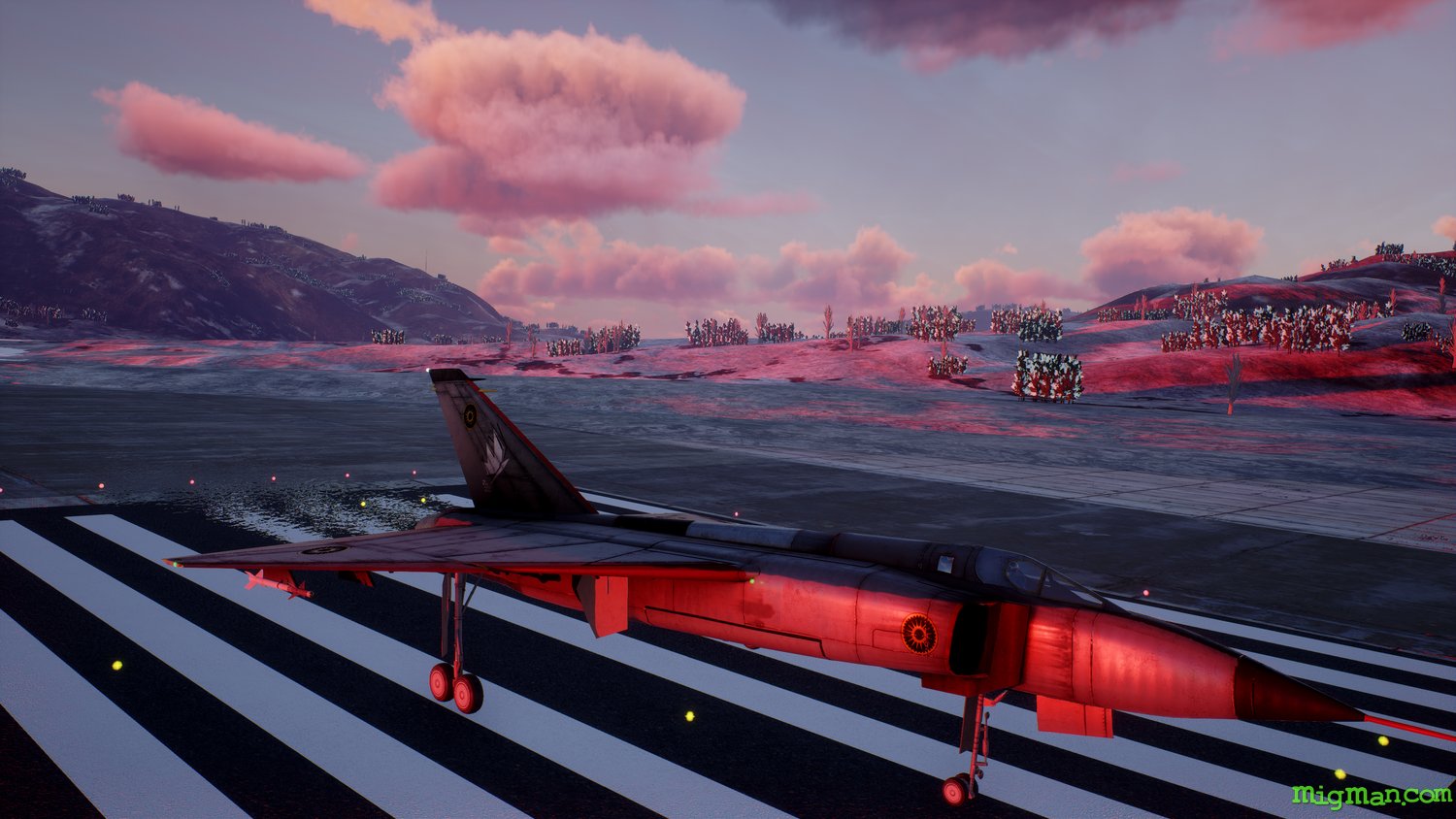 Project Wingman