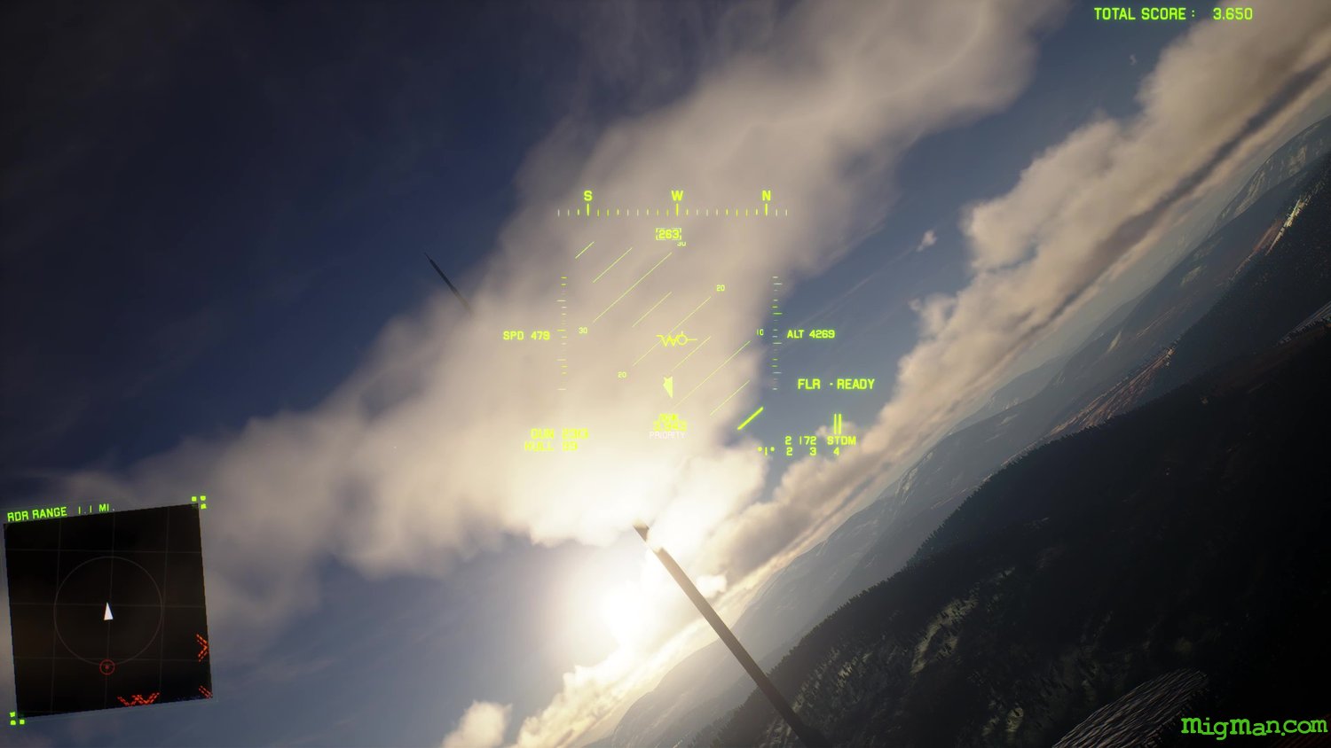 Project Wingman