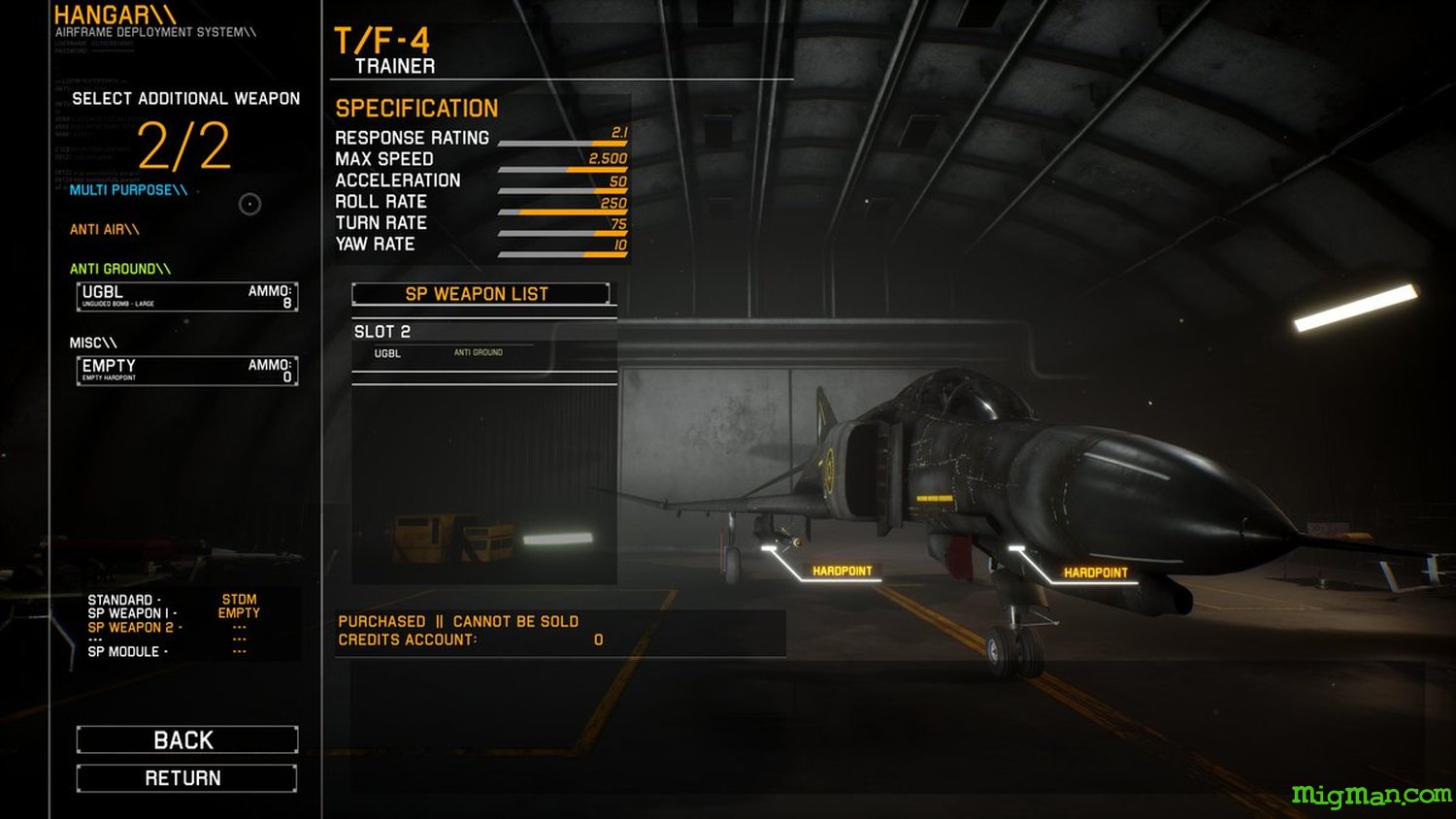Project Wingman