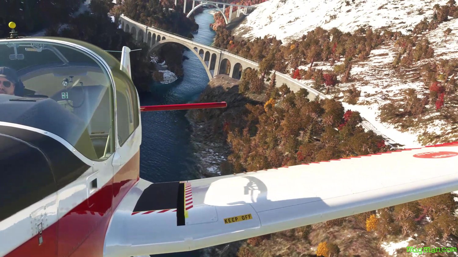 Scottish Aviation Bulldog (Blackbox Simulation)