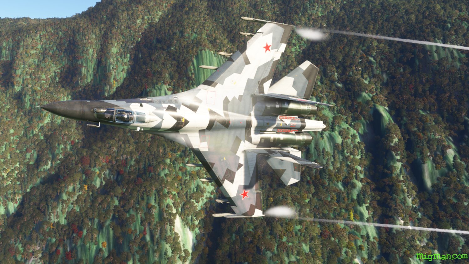 Sukhoi Su-27 Flanker