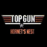 Top Gun Hornet